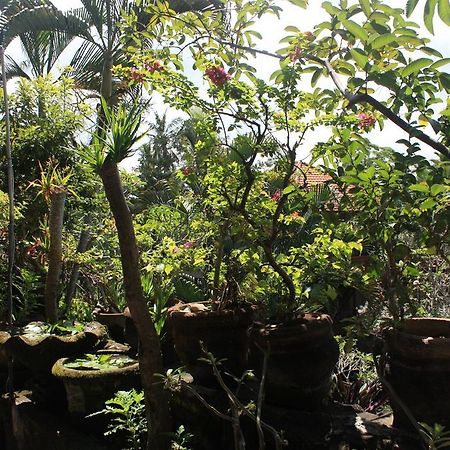 Raditia Homestay Ubud Eksteriør billede