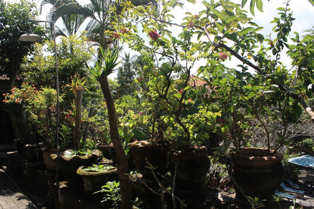 Raditia Homestay Ubud Eksteriør billede